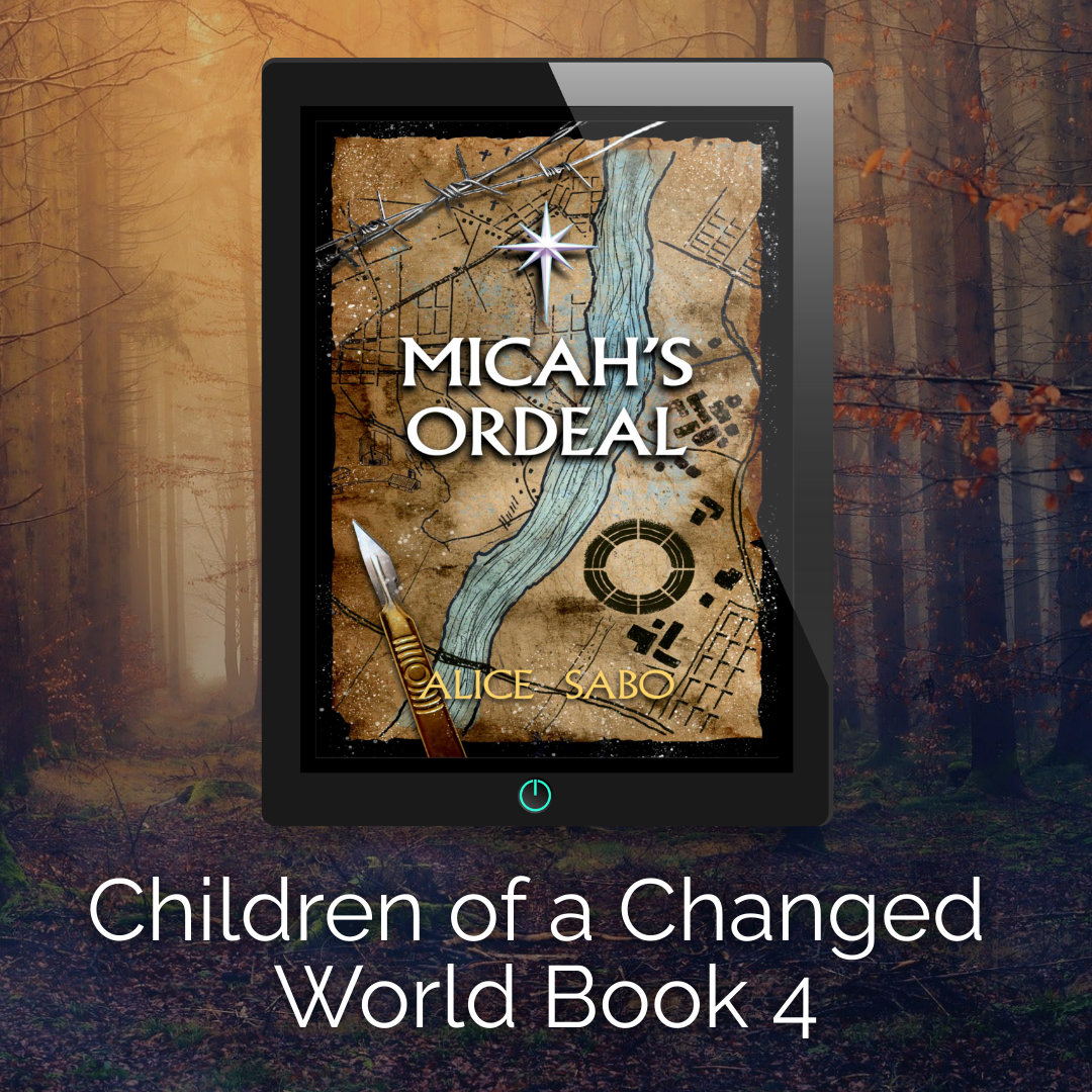 Micah's Ordeal Ebook